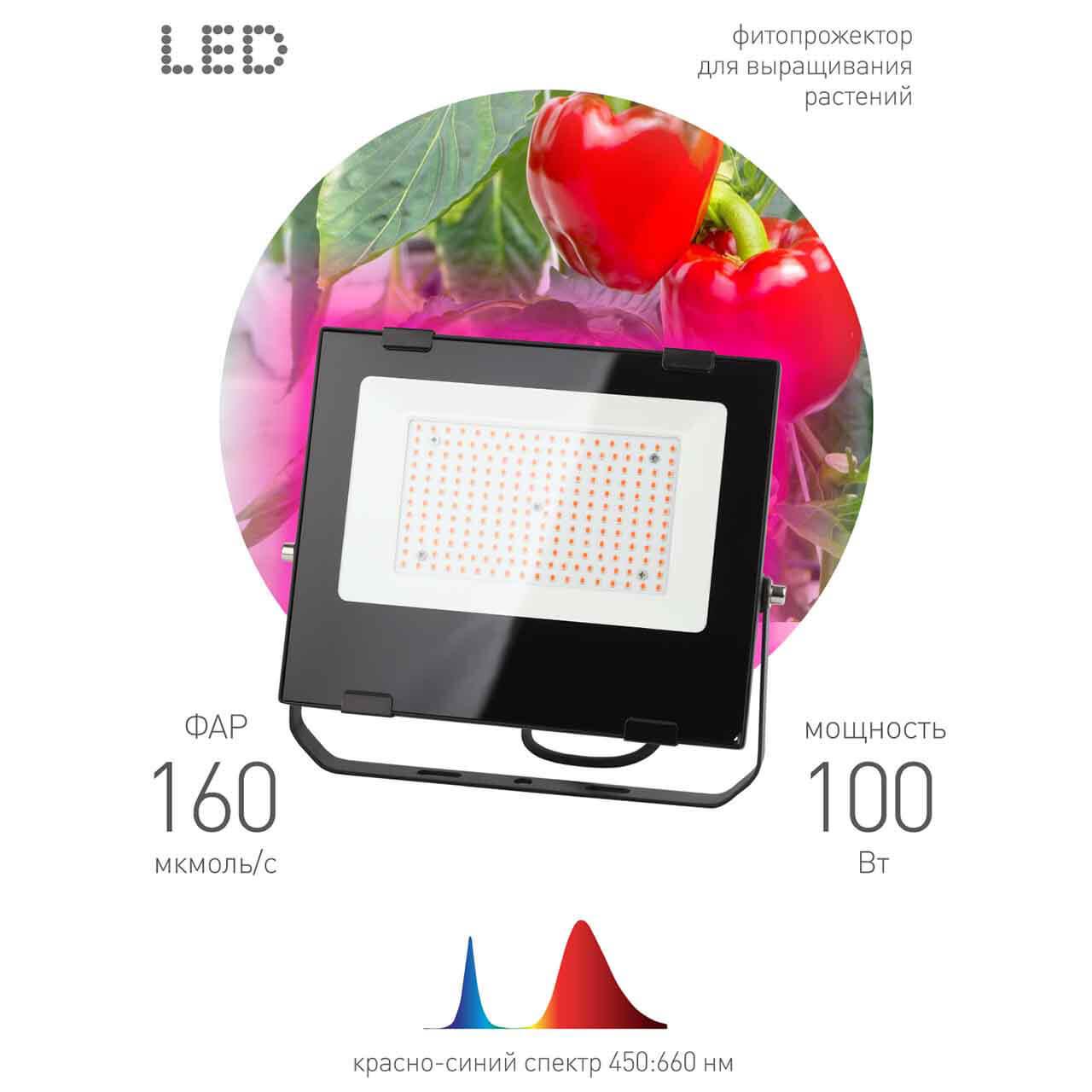 фото прожектор светодиодный эра 100w 1200k fito-100w-rb-led б0046369 | 220svet.ru