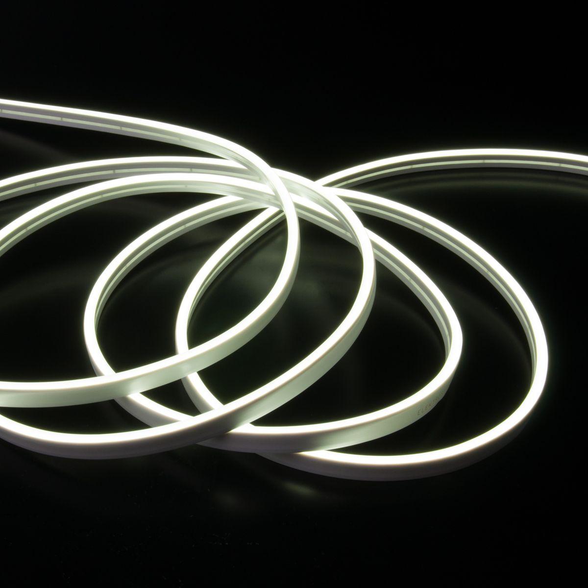 фото гибкий неон elektrostandard 10w/m 120led/m 2835smd холодный белый 5m a056260 | 220svet.ru