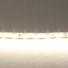 Миниатюра фото светодиодная лента нейтрального белого свечения lightstar 12w/m 120led/m 5m 420504 | 220svet.ru