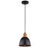 Миниатюра фото подвесной светильник arte lamp eurica a4245sp-1bk | 220svet.ru