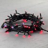 Миниатюра фото гирлянда нить 10м красная с мерцанием белого диода 220в, 75 led, провод черный каучук, ip65 ltc ll75blw-1-2r | 220svet.ru