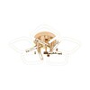 Миниатюра фото потолочный светодиодный светильник escada 10265/5led | 220svet.ru
