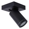 Миниатюра фото спот lucide taylor 09930/05/30 | 220svet.ru