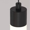 Миниатюра фото подвесной светильник maytoni ray p022pl-l10b | 220svet.ru