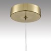 Миниатюра фото подвесной светильник lumion solida 8087/1a золотой | 220svet.ru