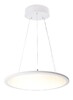 Миниатюра фото подвесной светильник deko-light led panel transparent round 342091 | 220svet.ru