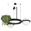 Миниатюра фото подвесной светильник loft it jardin 10121/2 | 220svet.ru