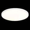 Миниатюра фото настенно-потолочный светодиодный светильник st luce st601.532.48 | 220svet.ru