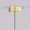 Миниатюра фото подвесной светодиодный светильник favourite wilet 4657-1p | 220svet.ru