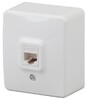 Миниатюра фото розетка телефонная rj11 эра 11-3202-01 б0020727 | 220svet.ru