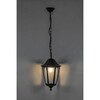 Миниатюра фото уличный подвесной светильник feron 6105 11060 | 220svet.ru