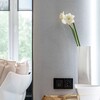 Миниатюра фото розетка с заземлением и шторками werkel черные матовый w1171108 | 220svet.ru