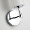 Миниатюра фото бра favourite palmarius 2814-1w | 220svet.ru