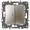 Миниатюра фото выключатель двухклавишный с подсветкой эра elegance 10ax 250v 14-1105-04 б0034240 | 220svet.ru