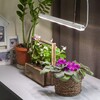 Миниатюра фото подвесной светодиодный светильник для растений эра fito-9w-t5-ra90 б0049311 | 220svet.ru