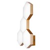 Миниатюра фото настенный светодиодный светильник lightstar favo 750641 | 220svet.ru