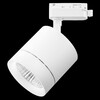 Миниатюра фото трековый светодиодный светильник однофазный lightstar canno 3000k 301262 | 220svet.ru